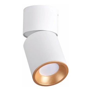 Прожектор, луна NIXA 1xGU10/10W/230V бяла/златна