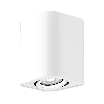 Rabalux - Спот 1xGU10/42W/230V бял