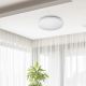 Rabalux - LED Лампа за таван 1xLED/32W/230V