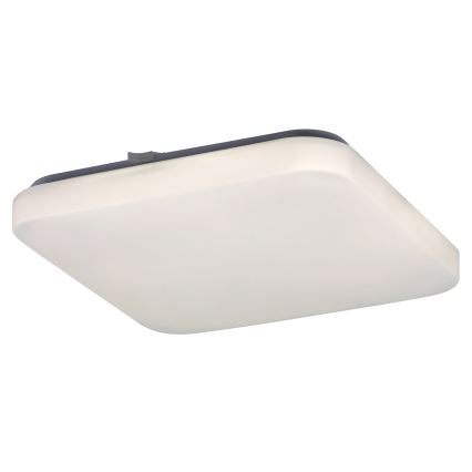 Rabalux - LED Плафониера 1xLED/20W/230V 28x28 см