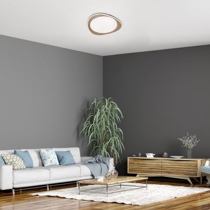 Rabalux - LED плафон 24W/230V, Ø 45 см