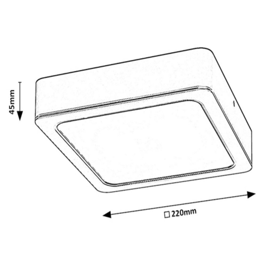 Rabalux - LED Плафониера LED/24W/230V 22x22 см
