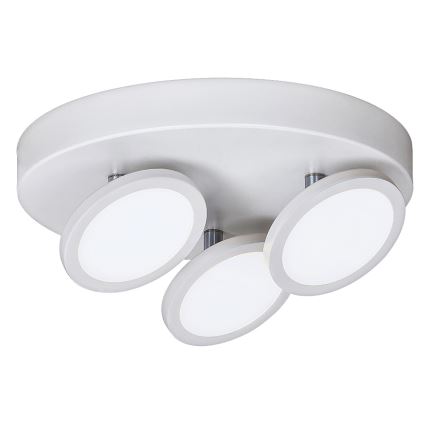 Rabalux - LED Лампа за таван 3xLED/6W/230V бяла