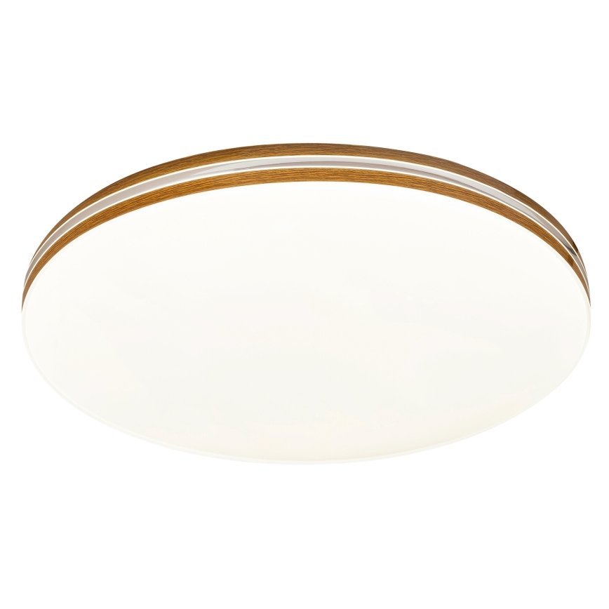 Rabalux - LED Лампа за таван 1xLED/18W/230V