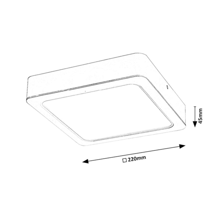 Rabalux - LED Плафониера LED/24W/230V 22x22 см
