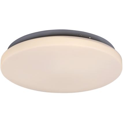 Rabalux - LED Плафониера 1xLED/20W/230V Ø 29 см