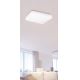 Rabalux - LED Лампа за таван 1xLED/20W/230V