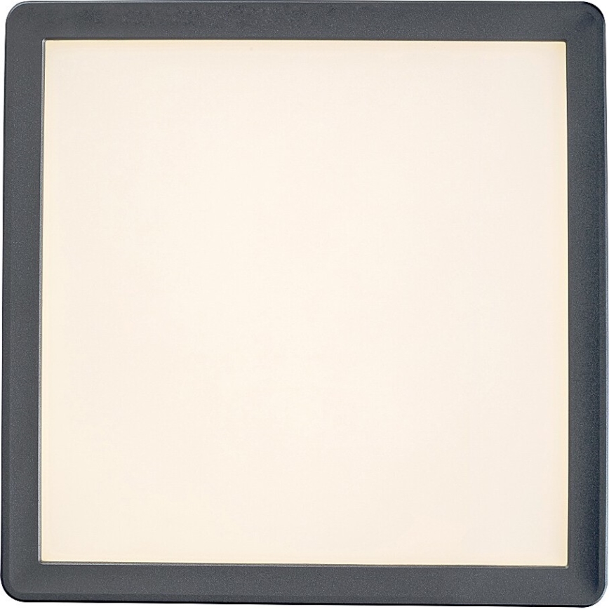 Rabalux - LED таванен плафон за баня LED/15W/230V IP44 25x25 см