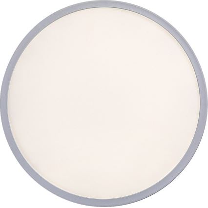 Rabalux - LED димируем таванен плафон LED/22W/230V Ø 42 см