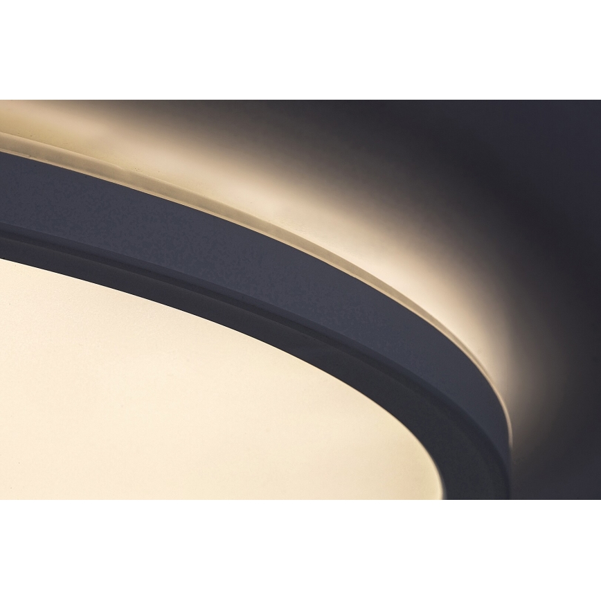 Rabalux - LED димируем таванен плафон LED/22W/230V Ø 42 см