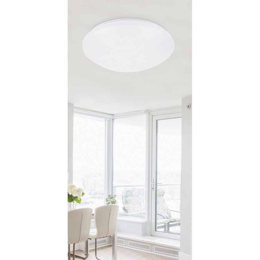 Rabalux - LED Лампа за таван 1xLED/12W/230V