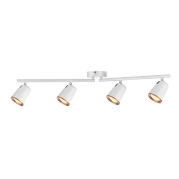 Rabalux 5048 - LED Прожектор, луна SOLANGE 4xLED/6W/230V