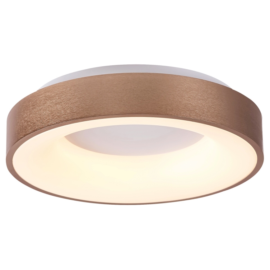 Rabalux 5052 - LED Лампа за таван CARMELA LED/30W/230V