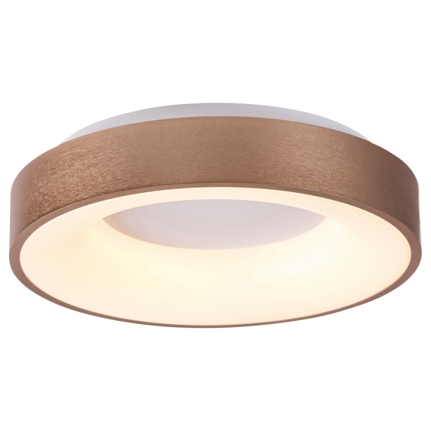 Rabalux 5053 - LED Лампа за таван CARMELA LED/50W/230V