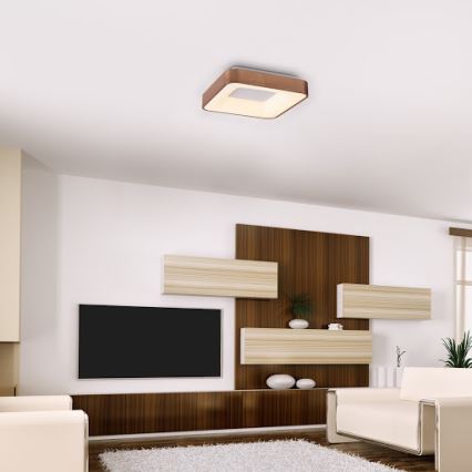Rabalux - LED Плафониера CARMELA LED/30W/230V 40x40 см