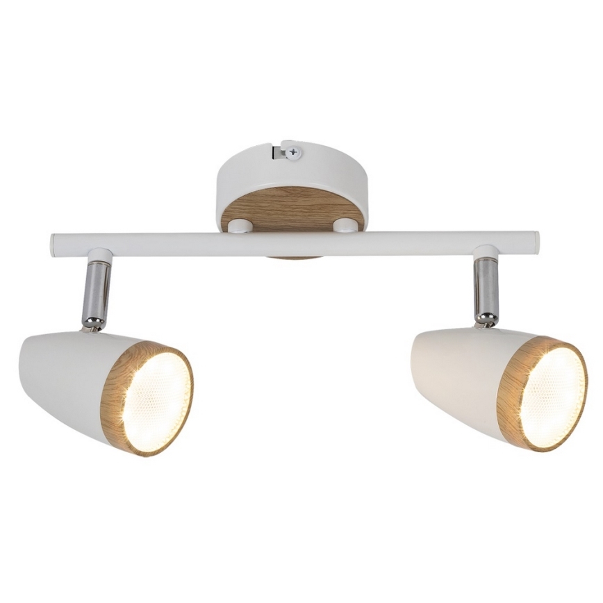 Rabalux 5565 - LED Прожектор, луна KAREN 2xLED/4W/230V