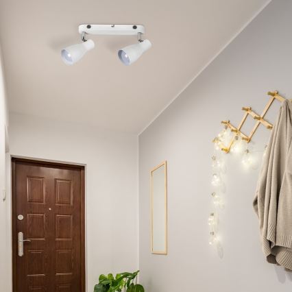 Rabalux - Точково осветително тяло 2xE27/20W/230V