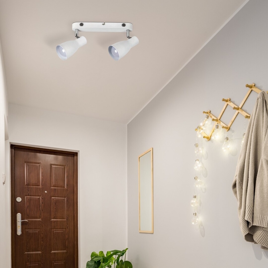 Rabalux - Точково осветително тяло 2xE27/20W/230V