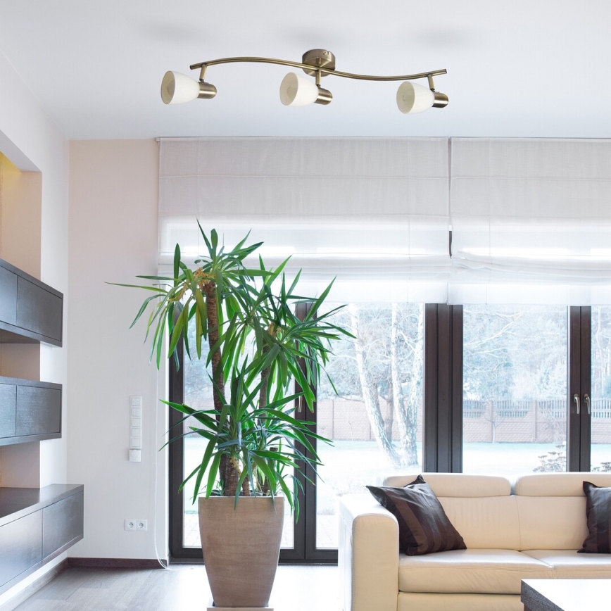 Rabalux - Точково осветително тяло 3xE14/40W/230V