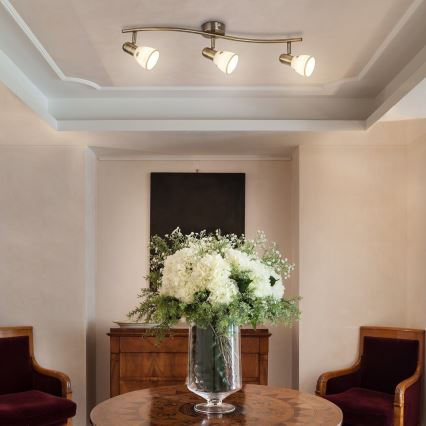 Rabalux - Точково осветително тяло 3xE14/40W/230V