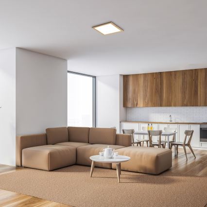 Rabalux - LED Панел за повърхностен монтаж LED/12W/230V 4000K