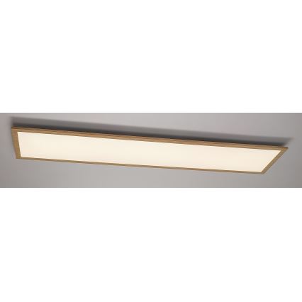 Rabalux - LED Панел за повърхностен монтаж LED/40W/230V 4000K