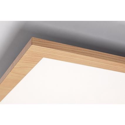 Rabalux - LED Панел за повърхностен монтаж LED/40W/230V 4000K