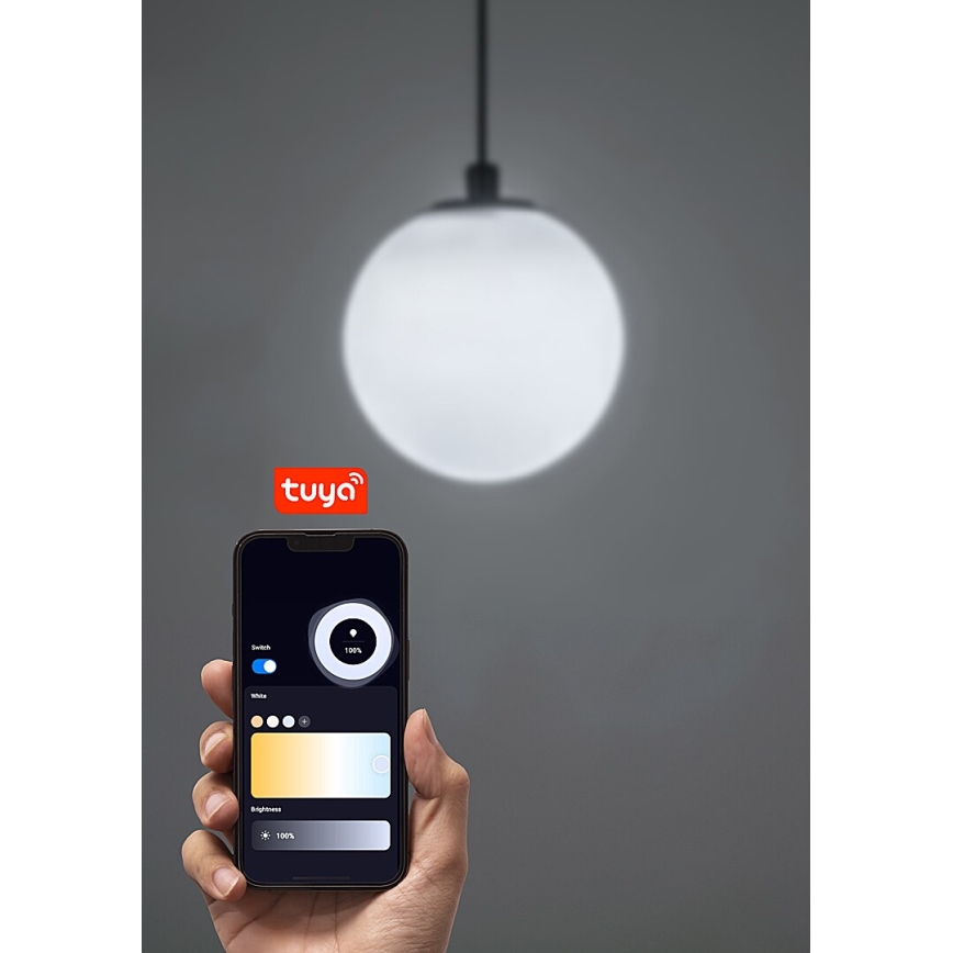 Rabalux - LED Димируем пендел за 1-фазна релсова система LED/5W/24V 2700-5500K Wi-Fi Tuya черен