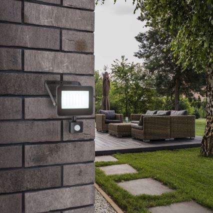 Rabalux - LED Прожектор със сензор LED/30W/230V 4000K IP44 черен