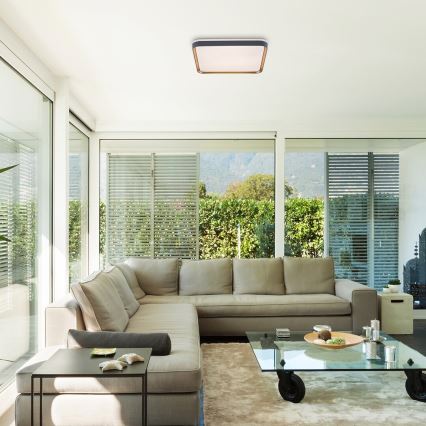 Rabalux - LED таванно осветително тяло LED/26W/230V 3000K 39,5x39,5 cm