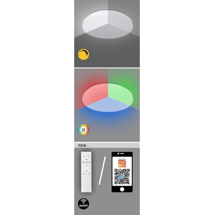 Rabalux - LED RGB Димируем плафон LED/24W/230V Wi-Fi Tuya 3000-6500K 31 cm