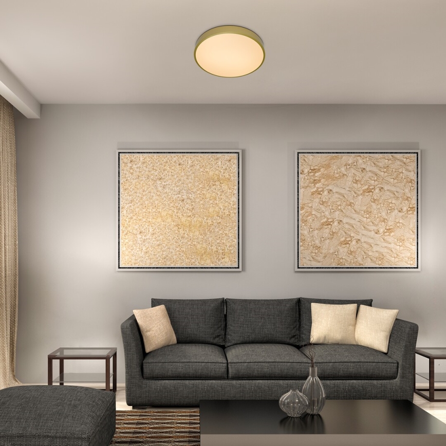 Rabalux - LED таванно осветително тяло LED/36W/230V 3000K, Ø 40 см