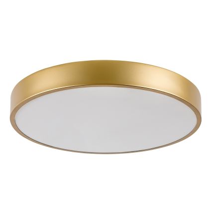 Rabalux - LED таванно осветително тяло LED/36W/230V 3000K, Ø 40 см