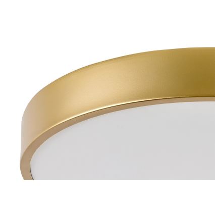 Rabalux - LED таванно осветително тяло LED/36W/230V 3000K, Ø 40 см