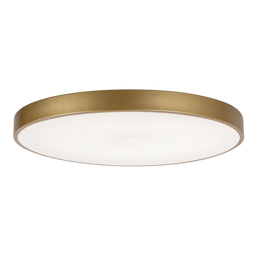 Rabalux - LED Димируем плафон LED/60W/230V 3000-6000K + дистанционно управление