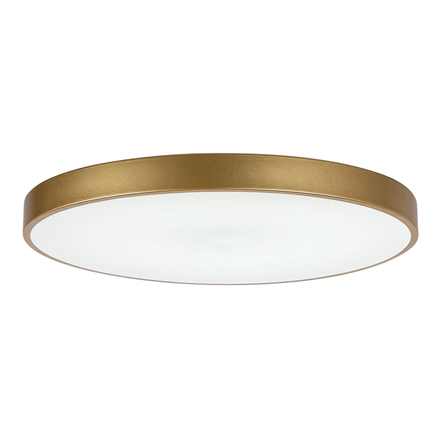 Rabalux - LED Димируем плафон LED/60W/230V 3000-6000K + дистанционно управление