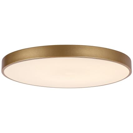 Rabalux - LED Димируем плафон LED/60W/230V 3000-6000K + дистанционно управление