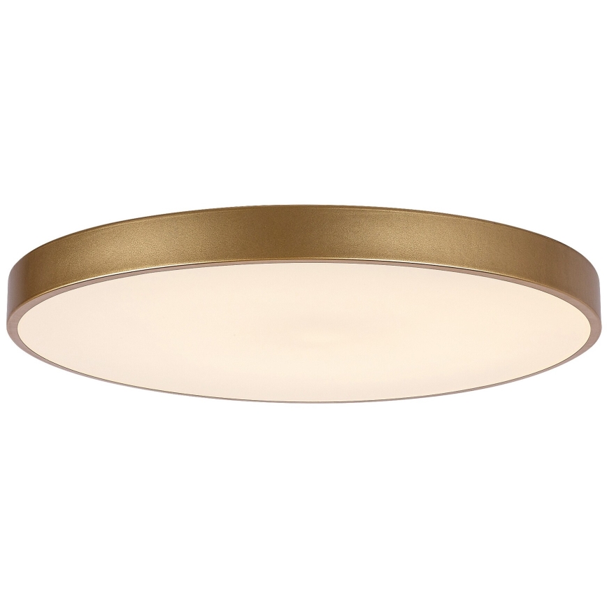 Rabalux - LED Димируем плафон LED/60W/230V 3000-6000K + дистанционно управление