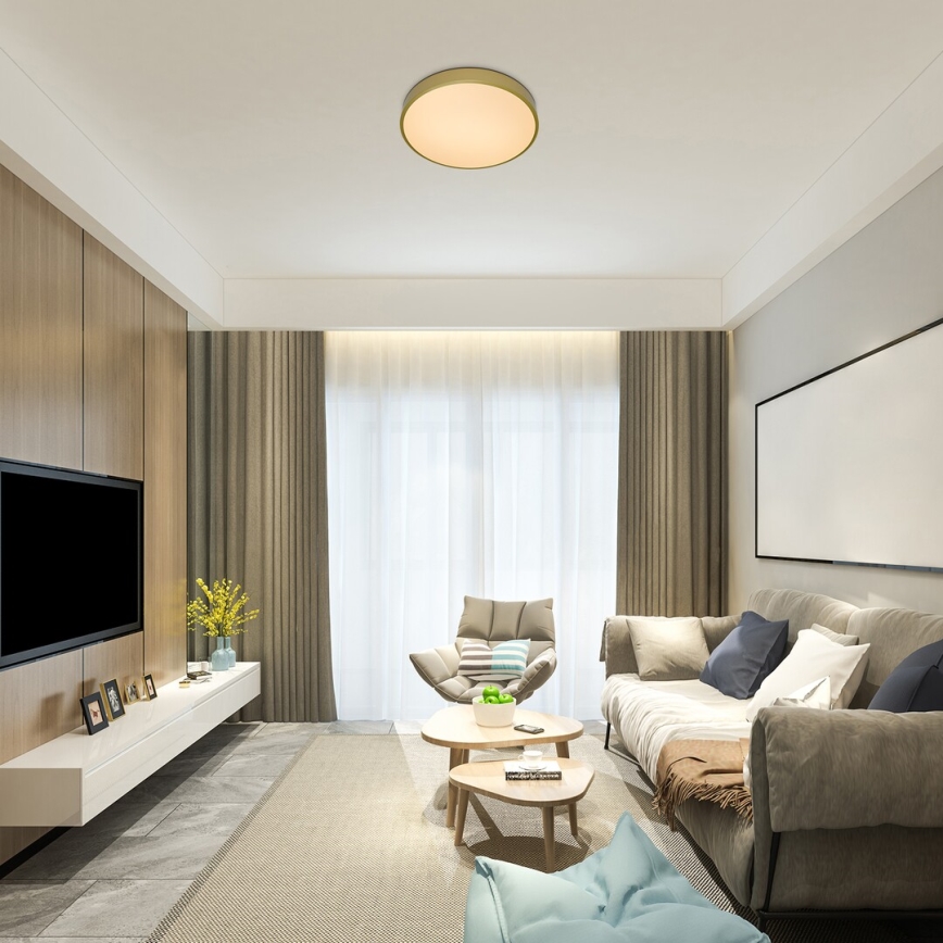 Rabalux - Димируема LED таванна лампа LED/60W/230V 3000-6000K + с дистанционно управление, диаметър 60 см