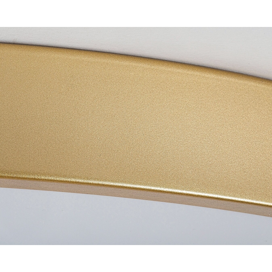 Rabalux - Димируема LED таванна лампа LED/60W/230V 3000-6000K + с дистанционно управление, диаметър 60 см