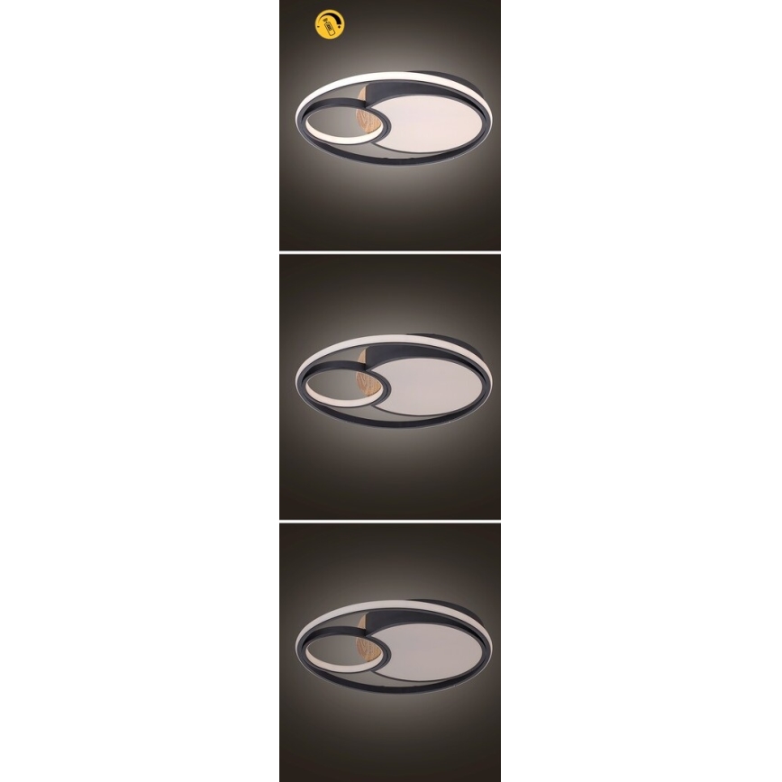 Rabalux - LED Димируем плафон LED/81W/230V 3000K/4000K/6000K + дистанционно управление