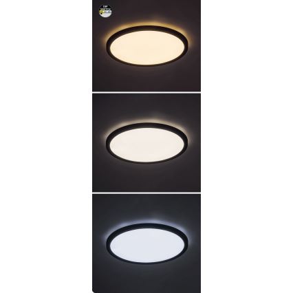 Rabalux - LED Плафониера LED/24W/230V 3000/4000/6000K Ø 29 cm черен