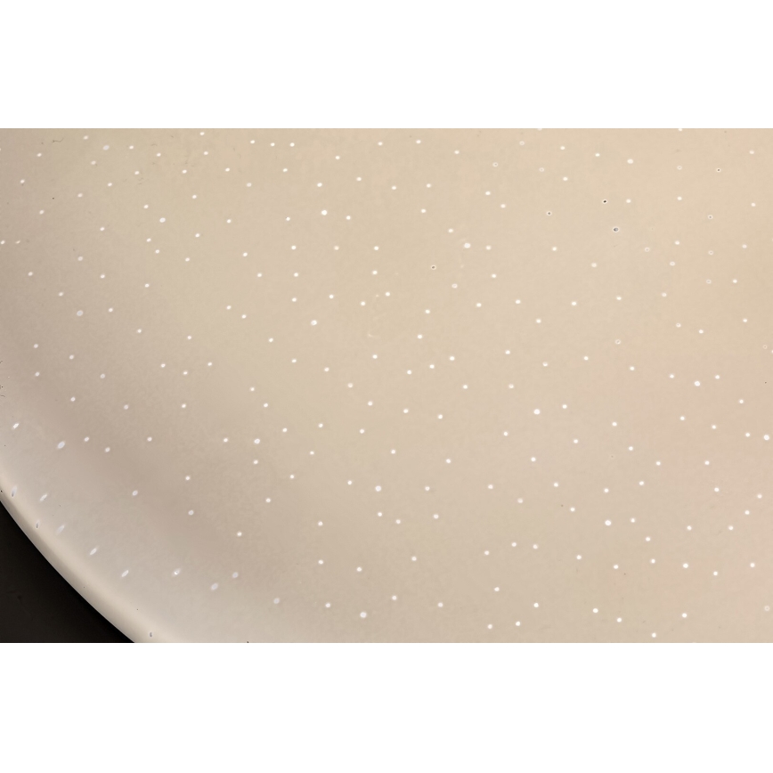 Rabalux - LED таванно осветително тяло LED/12W/230V 4000K Ø 25,5 см