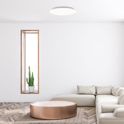 Rabalux - LED таванно осветително тяло LED/18W/230V 4000K диаметър 28 см