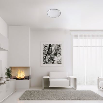 Rabalux - LED Плафониера LED/18W/230V 4000K сребрист 27 см