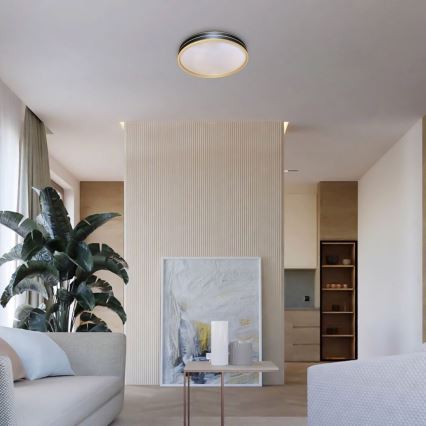 Rabalux - LED Димируемо таванно осветително тяло LED/24W/230V 3000-6500K Ø 39 см + дистанционно управление