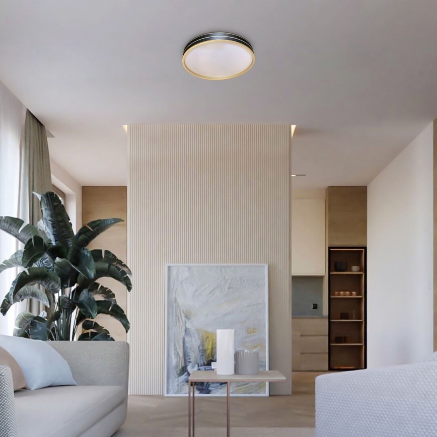 Rabalux - LED Димируемо таванно осветително тяло LED/24W/230V 3000-6500K Ø 39 см + дистанционно управление