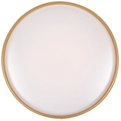 Rabalux - LED Димируемо таванно осветително тяло LED/24W/230V 3000-6500K Ø 39 см + дистанционно управление