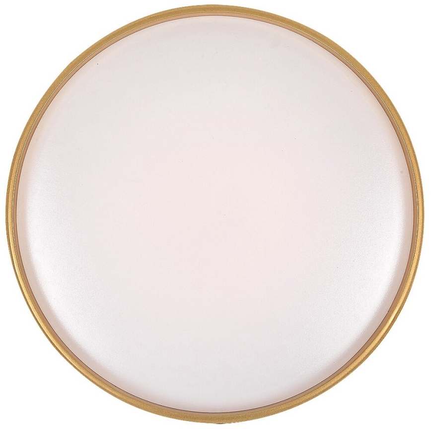 Rabalux - LED Димируемо таванно осветително тяло LED/24W/230V 3000-6500K Ø 39 см + дистанционно управление