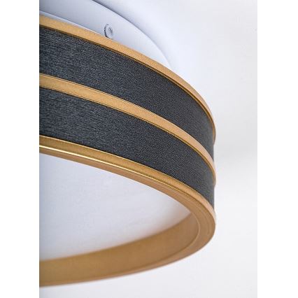 Rabalux - LED Димируемо таванно осветително тяло LED/24W/230V 3000-6500K Ø 39 см + дистанционно управление